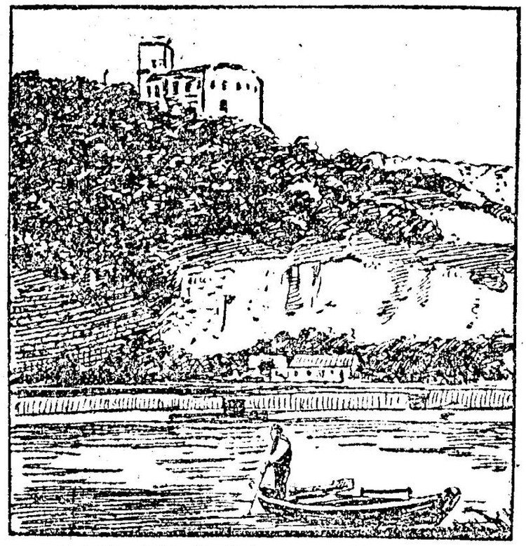 Die Burg Greifenstein an der niederösterreichischen Donau
